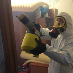 Уничтожение клопов в квартире. Дербент
